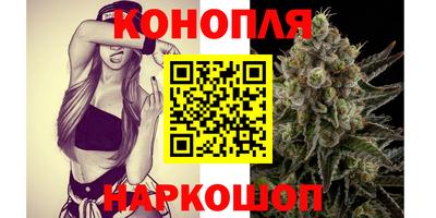 прущие крисы Будённовск